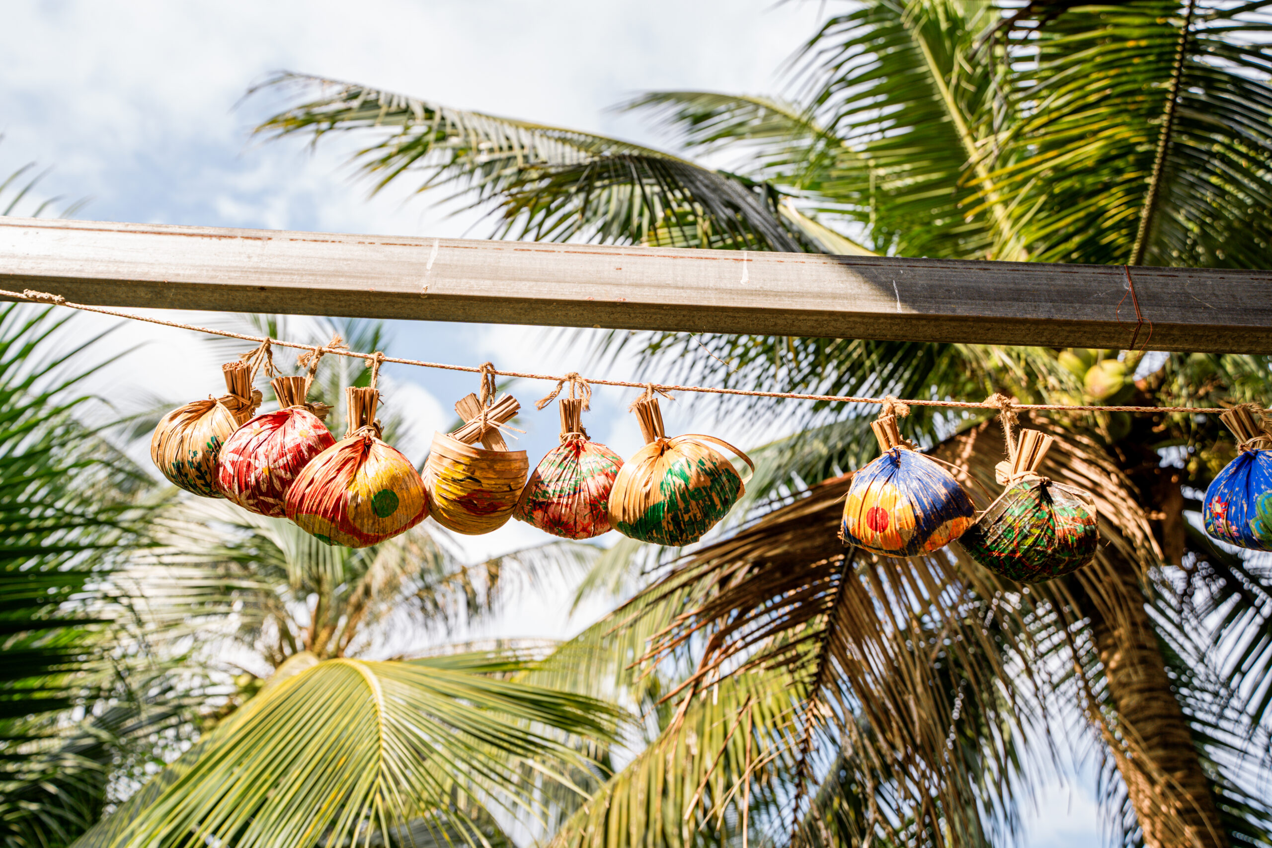 หมาตักน้ำ